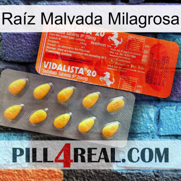 Raíz Malvada Milagrosa new01